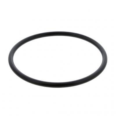 O-RING (Pack of 10)