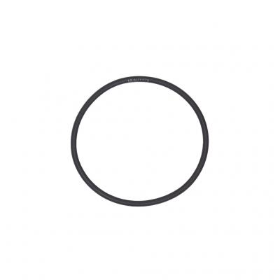 O-RING (Pack of 5)