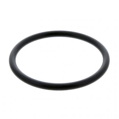 O-RING (Pack of 2)