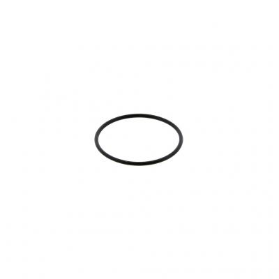 O-RING (Pack of 5)