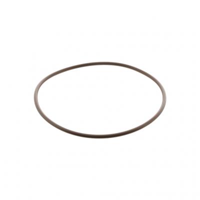 O-RING (Pack of 5)