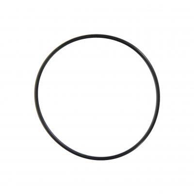 O-RING (Pack of 2)