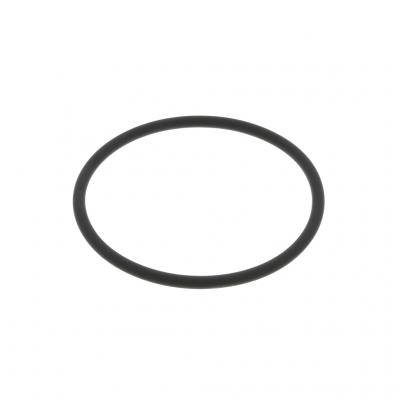 O-RING (Pack of 2)