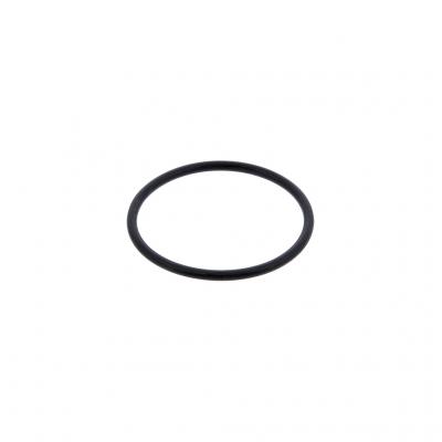 O-RING (Pack of 2)