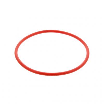 O-RING (Pack of 2)