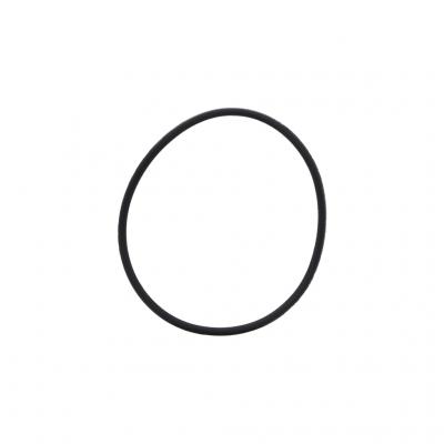 O-RING (Pack of 5)