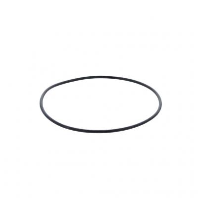 O-RING (Pack of 2)