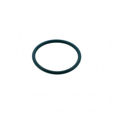 O-RING (Pack of 6)
