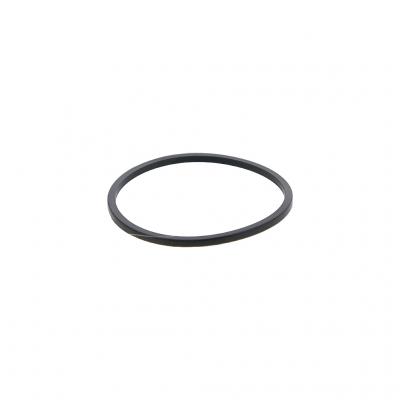 O-RING (Pack of 2)