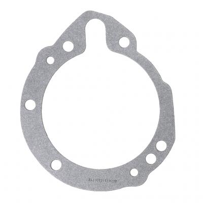MOUNTING GASKET (Pack of 5)