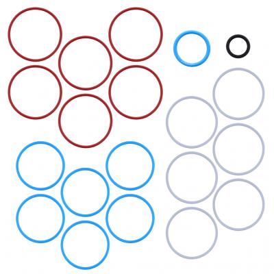 FUEL O-RING KIT