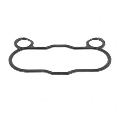 INTAKE GASKET (Pack of 6)