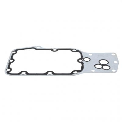 OIL COOLER GASKET