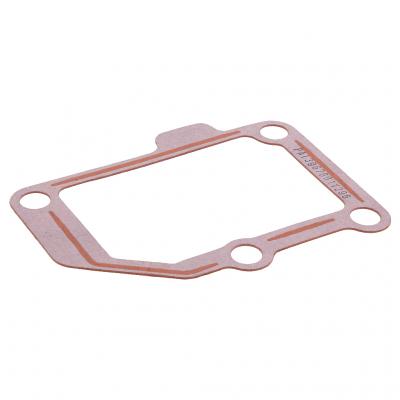 INTAKE CONNECTION GASKET (Pack of 5)