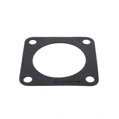 THERMOSTAT GASKET (Pack of 2)