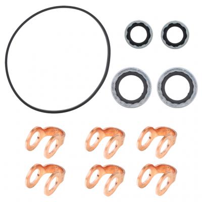 FUEL INJECTION GASKET KIT (MINOR)