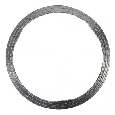 INLET AFTER TREATMENT GASKET