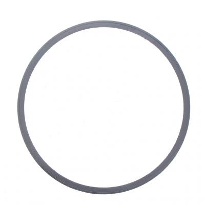 AFTERTREATMENT DEVICE GASKET