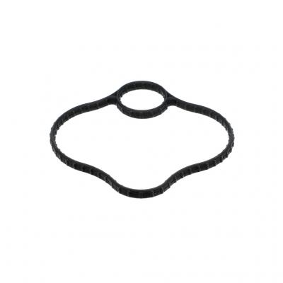 FUEL PUMP GASKET (Pack of 2)