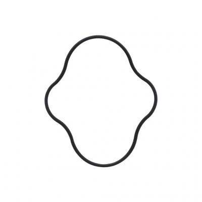 FUEL PUMP GASKET (Pack of 2)