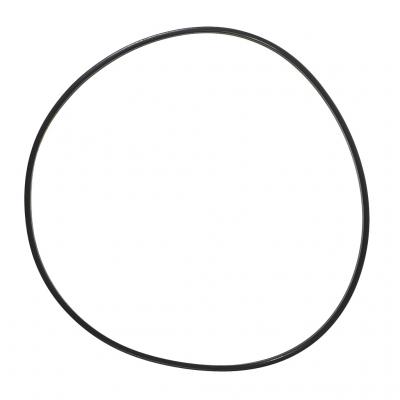 SEALING RING (Pack of 6)