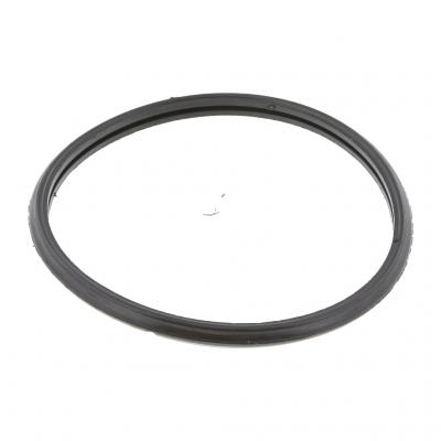 THERMOSTAT SEAL