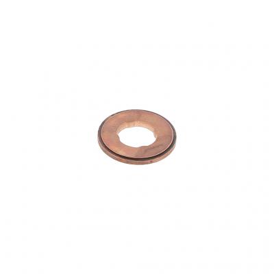 INJECTOR SEAL (Pack of 6)