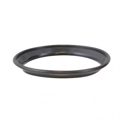 THERMOSTAT SEAL