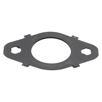 EGR COOLER GASKET (Pack of 2)