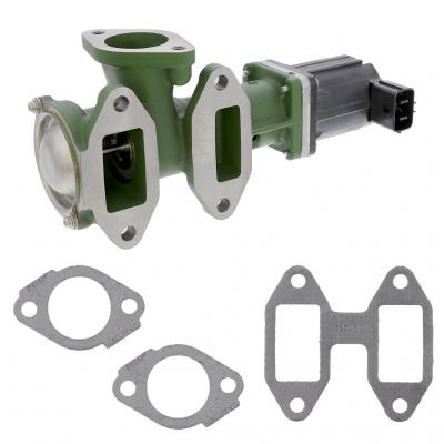 EGR VALVE KIT