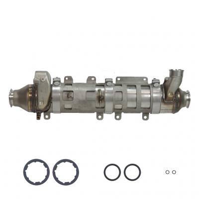 EGR COOLER KIT