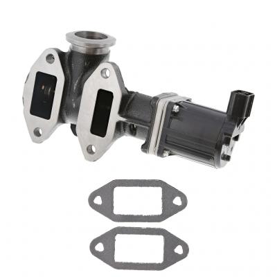 EGR VALVE KIT