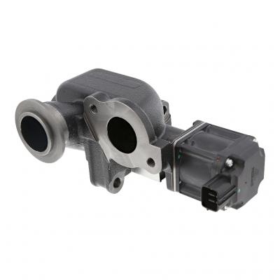 EGR VALVE KIT