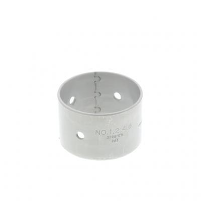 CAM BEARING