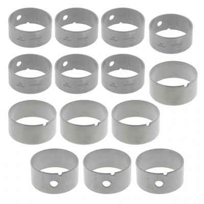 CAM BEARING KIT