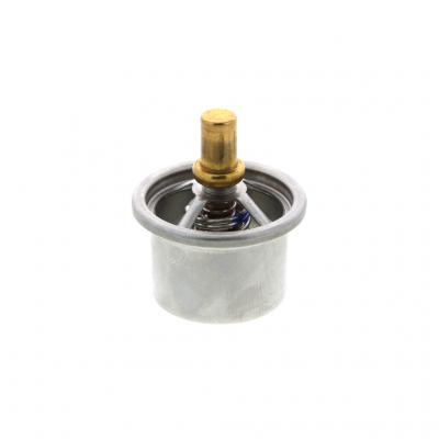 THERMOSTAT KIT