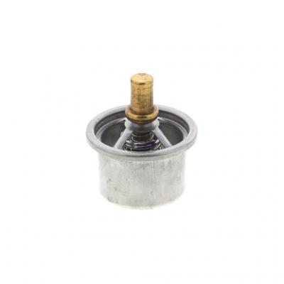 THERMOSTAT KIT