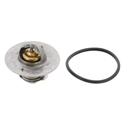 THERMOSTAT KIT