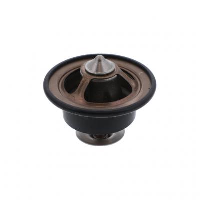THERMOSTAT KIT