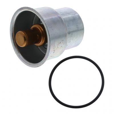 THERMOSTAT KIT