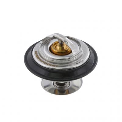 THERMOSTAT KIT