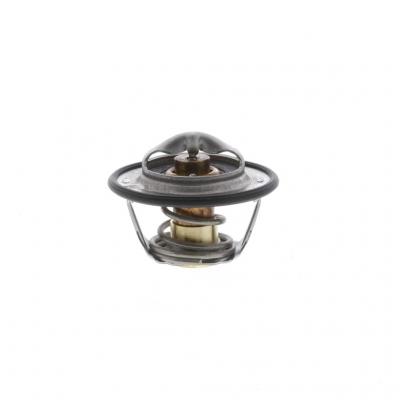THERMOSTAT KIT
