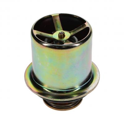THERMOSTAT(160 Deg F)