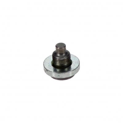 TAPPET GUIDE PIN (Pack of 2)