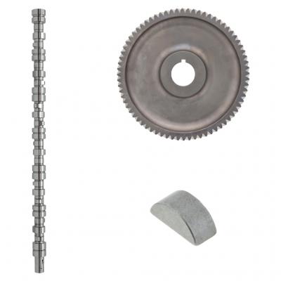 CAMSHAFTAND GEAR KIT