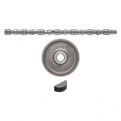CAMSHAFT AND GEAR KIT