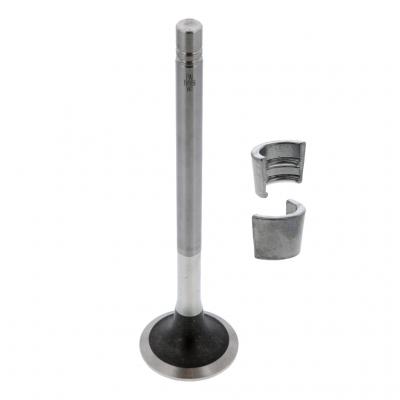 EXHAUST VALVE KIT (Pack of 2)