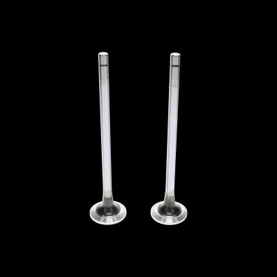 EXHAUST VALVE KIT (Pack of 2)