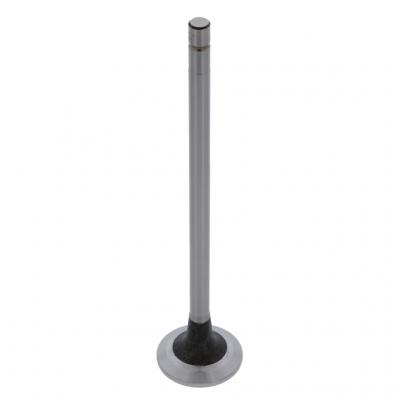 INTAKE VALVE (Pack of 2)