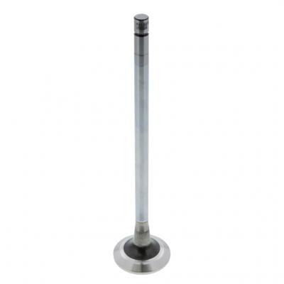 EXHAUST VALVE (Pack of 2)